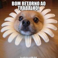 BOM RETORNO AO TRABALHO!
