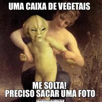 UMA CAIXA DE VEGETAIS ME SOLTA! 
PRECISO SACAR UMA FOTO