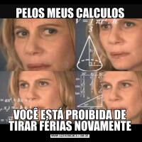 PELOS MEUS CALCULOSVOCÊ ESTÁ PROIBIDA DE TIRAR FÉRIAS NOVAMENTE