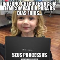 INVERNO CHEGOU E VOCÊ JÁ TEM COMPANHIA PARA OS DIAS FRIOS...SEUS PROCESSOS
