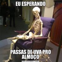 EU ESPERANDOPASSAS DE UVA PRO ALMOÇO