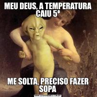 MEU DEUS, A TEMPERATURA CAIU 5ºME SOLTA, PRECISO FAZER SOPA
