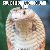 SOU DELICADA COMO UMA FLOR