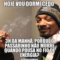 HOJE VOU DORMI CEDO 3H DA MANHÃ, PORQUE O PASSARINHO NÃO MORRE QUANDO POUSA NO FIO DE ENERGIA?