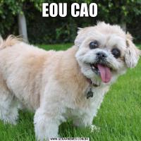 EOU CAO
