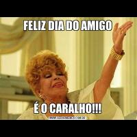 FELIZ DIA DO AMIGOÉ O CARALHO!!!