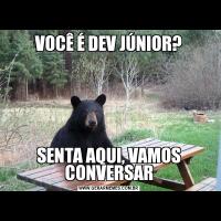 VOCÊ É DEV JÚNIOR?SENTA AQUI, VAMOS CONVERSAR