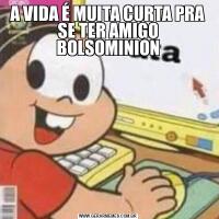 A VIDA É MUITA CURTA PRA SE TER AMIGO BOLSOMINION