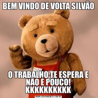 BEM VINDO DE VOLTA SILVÃOO TRABALHO TE ESPERA E NÃO É POUCO! KKKKKKKKKK