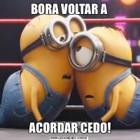 BORA VOLTAR A ACORDAR CEDO!