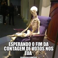ESPERANDO O FIM DA CONTAGEM DE VOTOS NOS EUA 