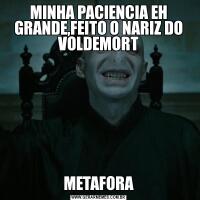 MINHA PACIENCIA EH GRANDE,FEITO O NARIZ DO VOLDEMORTMETAFORA