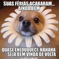 SUAS FÉRIAS ACABARAM... AINDA BEMQUASE ENLOUQUECI  HAHAHA        SEJA BEM VINDA DE VOLTA