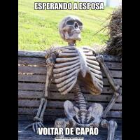 ESPERANDO A ESPOSAVOLTAR DE CAPÃO 