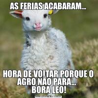 AS FERIAS ACABARAM...HORA DE VOLTAR PORQUE O AGRO NÃO PARA...  
 BORA LEO!