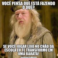 VOCÊ PENSA QUE ESTÁ FAZENDO O QUÊ?SE VOCÊ JOGAR LIXO NO CHÃO DA ESCOLA EU TE TRANSFORMO EM UMA BARATA!