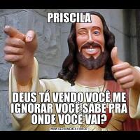 PRISCILADEUS TÁ VENDO VOCÊ ME IGNORAR VOCÊ SABE PRA ONDE VOCÊ VAI?