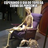 ESPERANDO O DIA DO TOPO DA CURVA DA PANDEMIA
