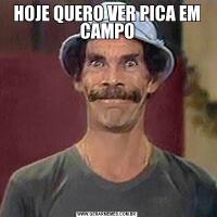 HOJE QUERO VER PICA EM CAMPO