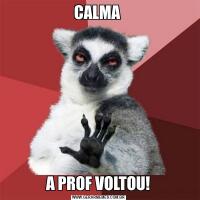 CALMA A PROF VOLTOU!