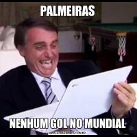 PALMEIRASNENHUM GOL NO MUNDIAL