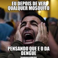 EU DEPOIS DE VER QUALQUER MOSQUITOPENSANDO QUE E O DA DENGUE