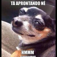 TÁ APRONTANDO NÉHMMM 