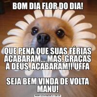BOM DIA FLOR DO DIA!QUE PENA QUE SUAS FÉRIAS ACABARAM... MAS, GRAÇAS À DEUS, ACABARAM!! UFFA

SEJA BEM VINDA DE VOLTA MANU!