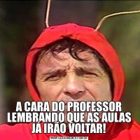 A CARA DO PROFESSOR LEMBRANDO QUE AS AULAS JÁ IRÃO VOLTAR!