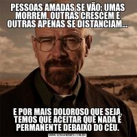 PESSOAS AMADAS SE VÃO: UMAS MORREM, OUTRAS CRESCEM E OUTRAS APENAS SE DISTANCIAM...E POR MAIS DOLOROSO QUE SEJA, TEMOS QUE ACEITAR QUE NADA É PERMANENTE DEBAIXO DO CÉU.