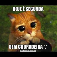 HOJE É SEGUNDASEM CHORADEIRA *.*