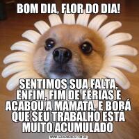BOM DIA, FLOR DO DIA!SENTIMOS SUA FALTA, ENFIM, FIM DE FÉRIAS E ACABOU A MAMATA, E BORÁ QUE SEU TRABALHO ESTÁ MUITO ACUMULADO 