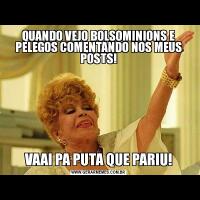 QUANDO VEJO BOLSOMINIONS E PELEGOS COMENTANDO NOS MEUS POSTS!VAAI PA PUTA QUE PARIU!