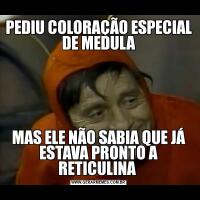 PEDIU COLORAÇÃO ESPECIAL DE MEDULAMAS ELE NÃO SABIA QUE JÁ ESTAVA PRONTO A RETICULINA 