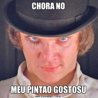 CHORA NOMEU PINTAO GOSTOSU