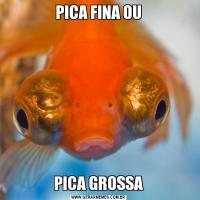 PICA FINA OUPICA GROSSA