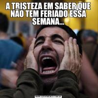 A TRISTEZA EM SABER QUE NÃO TEM FERIADO ESSA SEMANA...