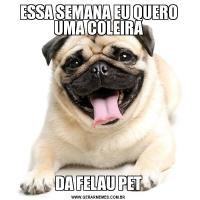 ESSA SEMANA EU QUERO UMA COLEIRADA FELAU PET