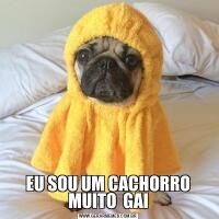 EU SOU UM CACHORRO MUITO  GAI