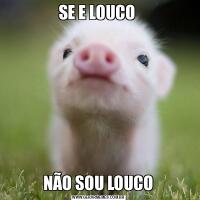 SE E LOUCO NÃO SOU LOUCO