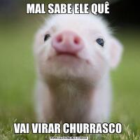 MAL SABE ELE QUÊ VAI VIRAR CHURRASCO 