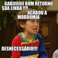 GABIIIIIIII BOM RETORNO SUA LINDA !!!!                                                    ACABOU A MORDOMIADESNECESSÁRIO!!!                                                                                   