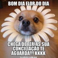 BOM DIA FLOR DO DIACHEGA DE FÉRIAS SUA CONCILIAÇÃO TE AGUARDA!!! KKKK