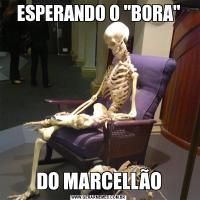ESPERANDO O 