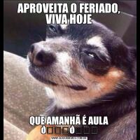 APROVEITA O FERIADO, VIVA HOJEQUE AMANHÃ É AULA 