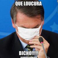 QUE LOUCURABICHO!!!!!