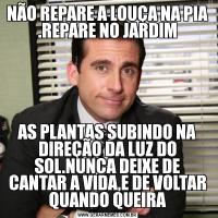 NÃO REPARE A LOUÇA NA PIA .REPARE NO JARDIMAS PLANTAS SUBINDO NA DIREÇÃO DA LUZ DO SOL.NUNCA DEIXE DE CANTAR A VIDA,E DE VOLTAR QUANDO QUEIRA