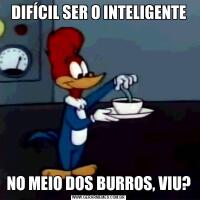 DIFÍCIL SER O INTELIGENTENO MEIO DOS BURROS, VIU?