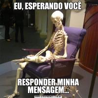 EU, ESPERANDO VOCÊ RESPONDER MINHA MENSAGEM...
