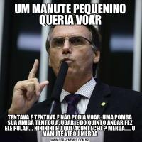 UM MANUTE PEQUENINO QUERIA VOARTENTAVA E TENTAVA E NÃO PODIA VOAR, UMA POMBA SUA AMIGA TENTOU AJUDAR, E DO QUINTO ANDAR FEZ ELE PULAR... HIHIHIHI E O QUE ACONTECEU ? MERDA.... O MAMUTE VIROU MERDA